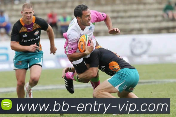 贝博bb官网发展历程